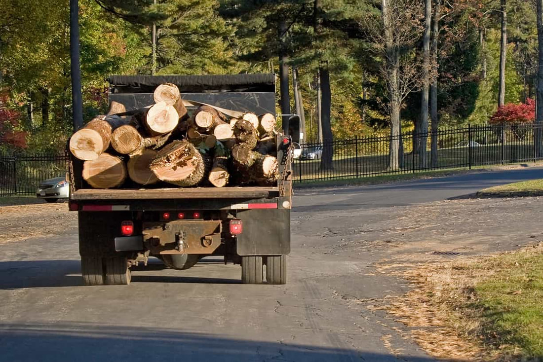 large group of logs stacked and transported on the back of a truck