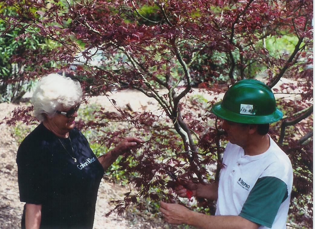 tree expert giving advice to a customer about her maple