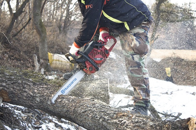 Man using a chainsaw to cut a trunk into pieces