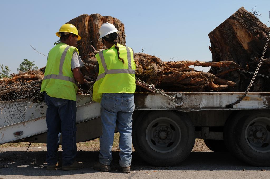 arborists removing a stump and putting it on a truck